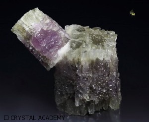 aragonite viola